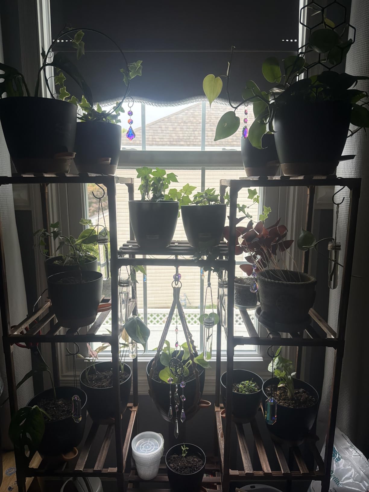 Uneedem Plant Stand Indoor Outdoor, Tall Plant Shelf for Multiple Plants, 10 Tiers 11 Pot Large Plants Holder Rack Wood customer photo 2