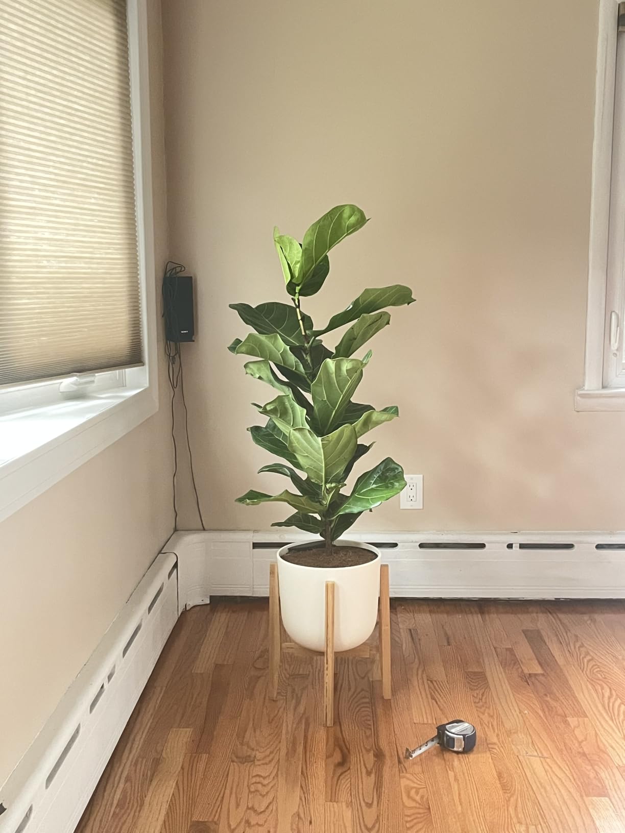 OERGKE Adjustable Plant Stand, Bamboo Mid Century Modern Indoor Plants Stands, Corner Flower Holder for Living Room, Fits 8 to 12 Inches Pots customer photo 1