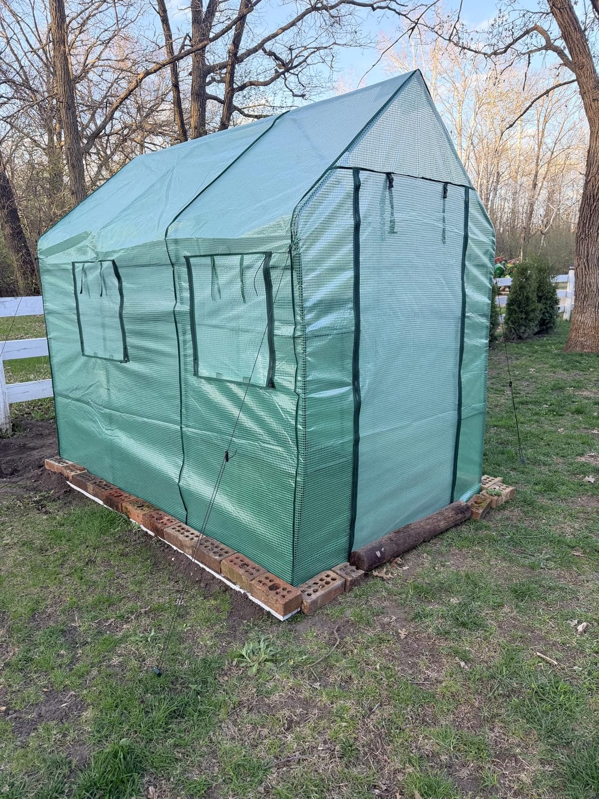 SUNGIFT Walk-in Greenhouse, 57 x 61 x 80 in, 3 Tiers 10 Shelves | Outdoor Greenhouse Kit for Herbs, Flowers, Seedlings, and Small Pots, with Roll-up Door, Side Windows, and No-tool Setup customer photo 2
