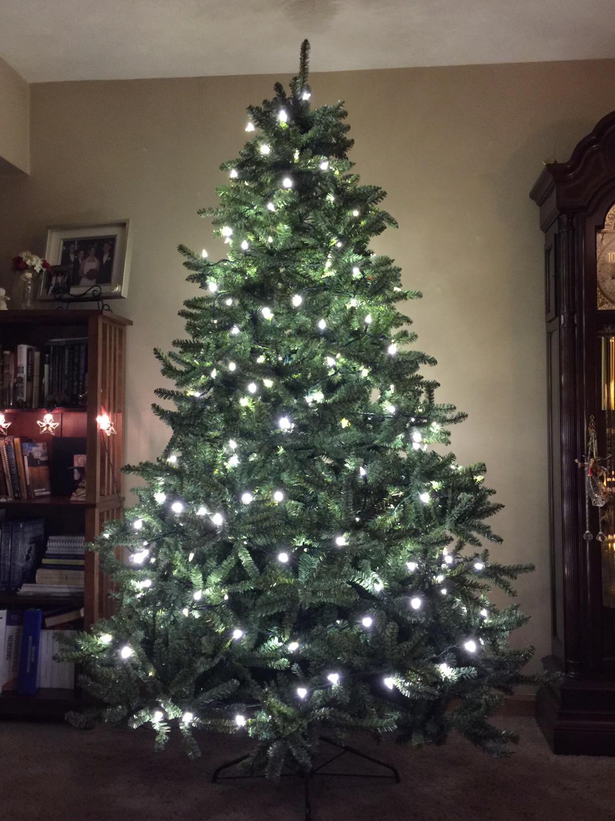 Balsam Hill 6.5ft Pre-Lit Classic Blue Spruce - Artificial Christmas Tree with 2144+ Tips, 700 Clear Incandescent Lights, Easy Plug Technology & Premium Stand for Indoor Holiday Decorating customer photo 1