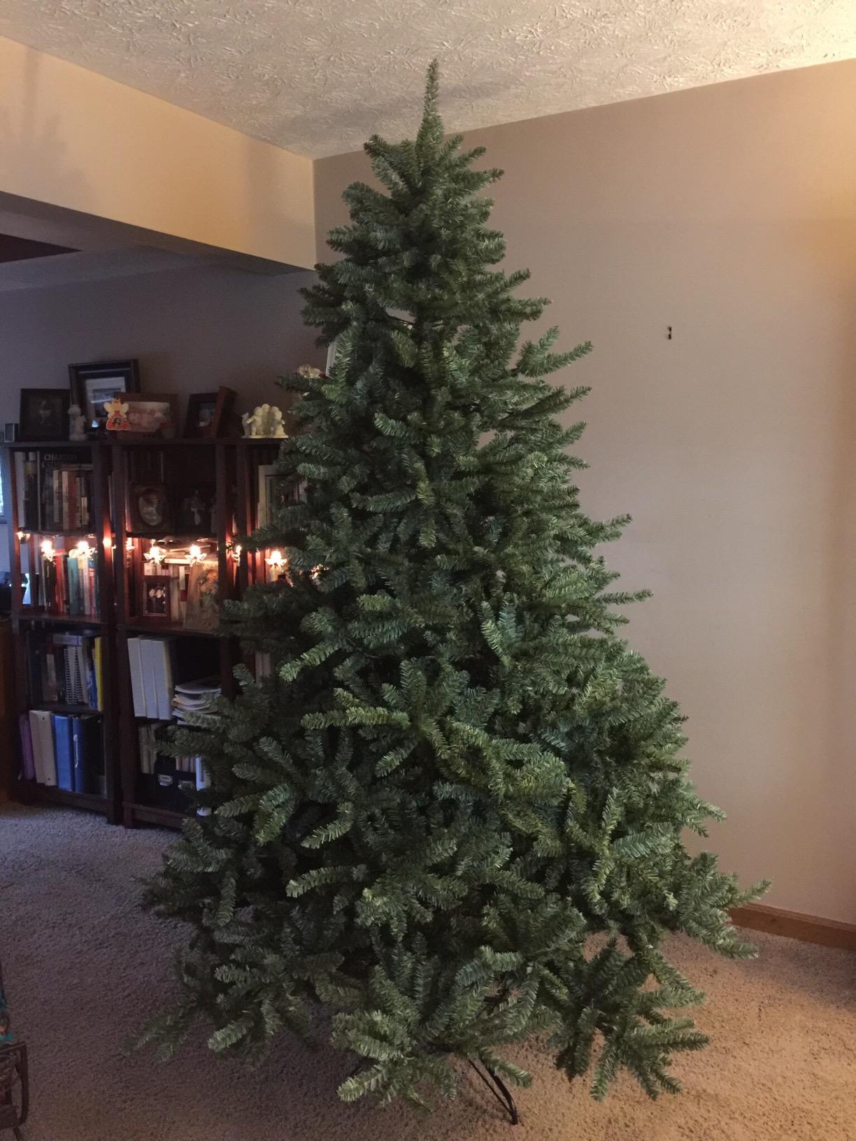Balsam Hill 6.5ft Pre-Lit Classic Blue Spruce - Artificial Christmas Tree with 2144+ Tips, 700 Clear Incandescent Lights, Easy Plug Technology & Premium Stand for Indoor Holiday Decorating customer photo 2