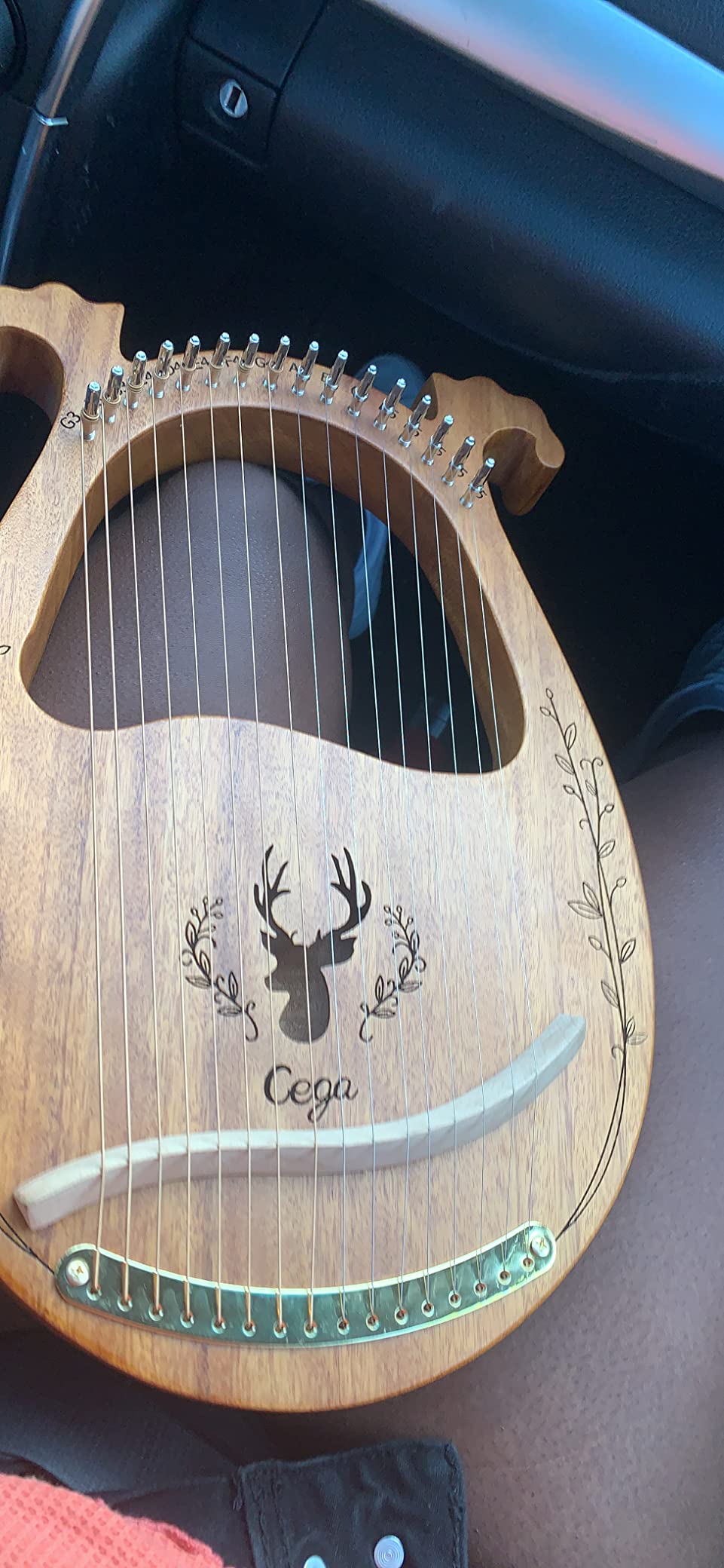 Lyre Harp, 16 Strings Mahogany Acoustic Lap Harp for Adults Beginners with Extra Strings, Picks, Tuning Lever, Black Gig Bag customer photo 2
