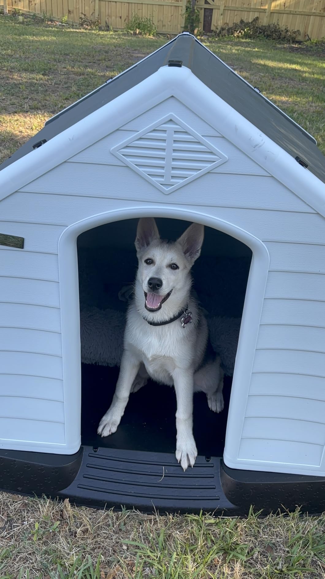 Durable Waterproof Plastic Dog House for Small to Large Sized Dogs, Indoor Outdoor Doghouse Insulated Puppy Shelter with Elevated Floor, Easy to Assemble (Gray, 34''L*31''W*32''H) customer photo 1