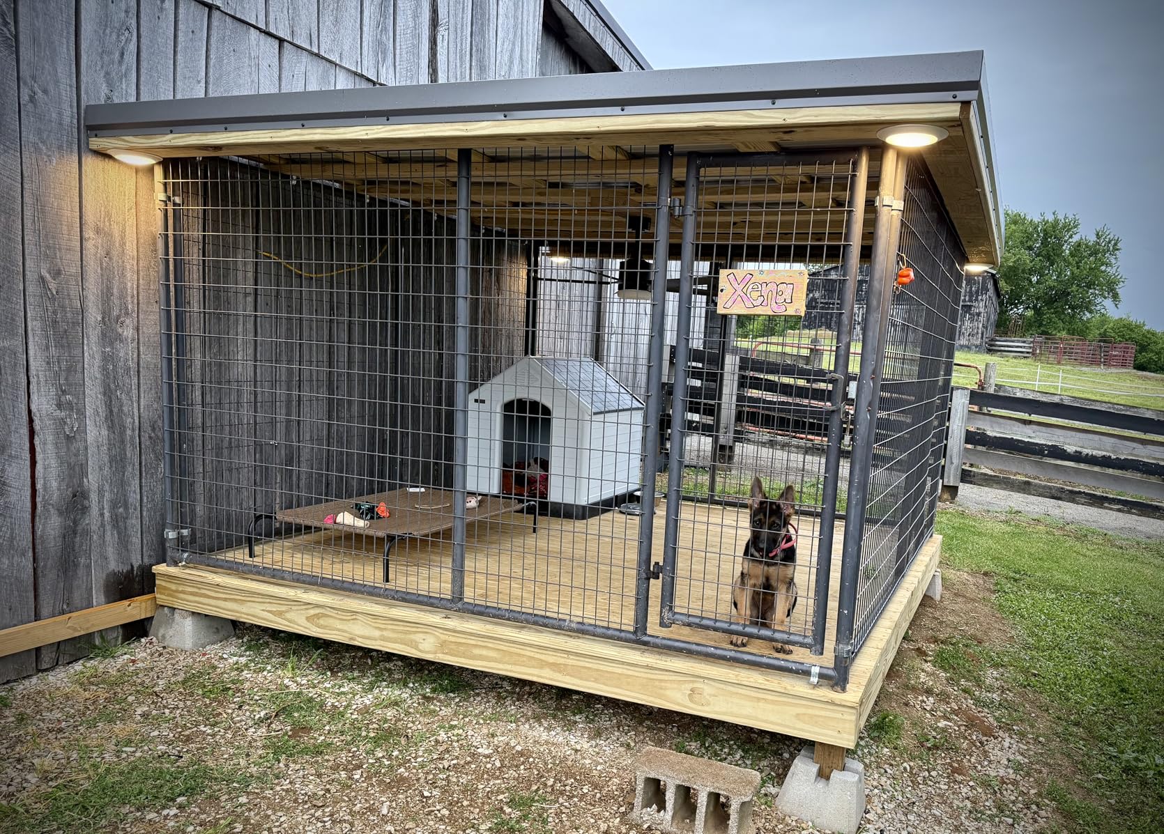 Durable Waterproof Plastic Dog House for Small to Large Sized Dogs, Indoor Outdoor Doghouse Insulated Puppy Shelter with Elevated Floor, Easy to Assemble (Gray, 34''L*31''W*32''H) customer photo 2