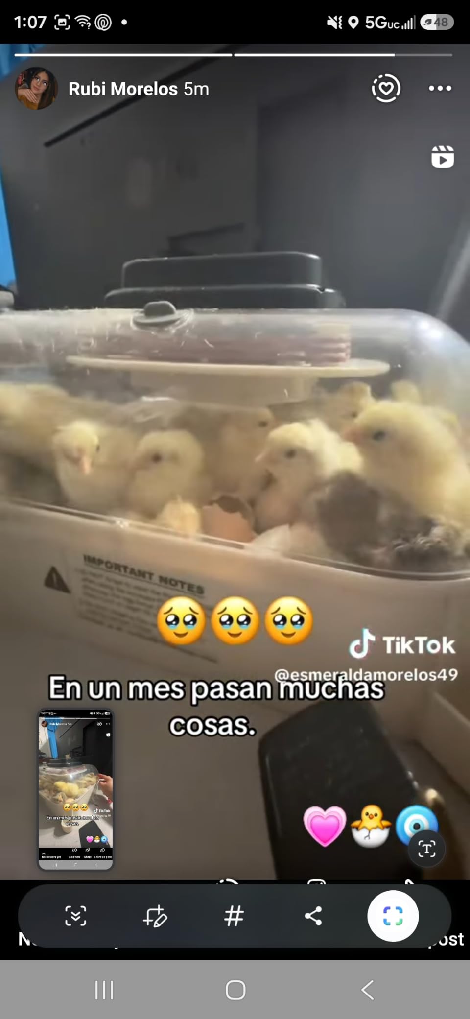MATICOOPX 30 Egg Incubator with Humidity Display, Egg Candler, Automatic Egg Turner, for Hatching Chickens customer photo 1