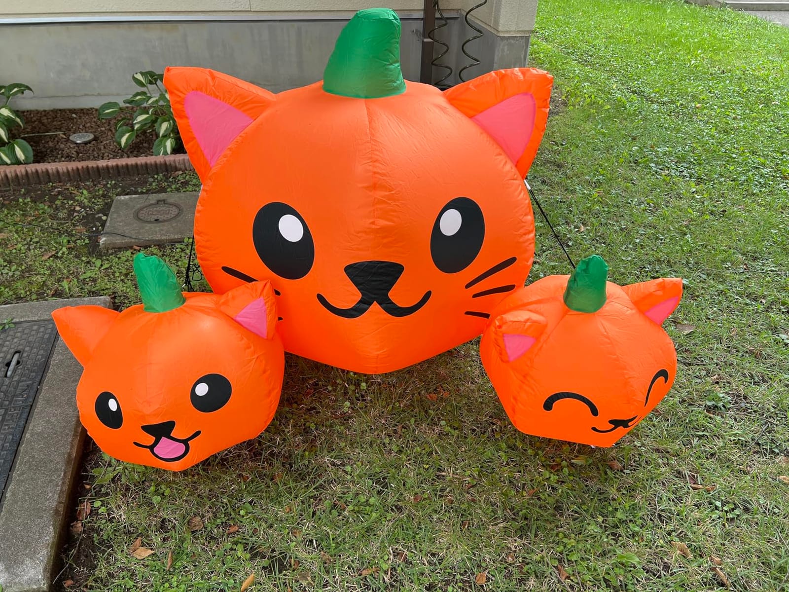 COMIN Halloween Inflatable 5FT Long Three Pumpkin Cat Head Combo with Built-in LEDs, Blow Up Yard Decoration for Holiday Party Indoor, Outdoor, Yard, Garden, Lawn customer photo 2