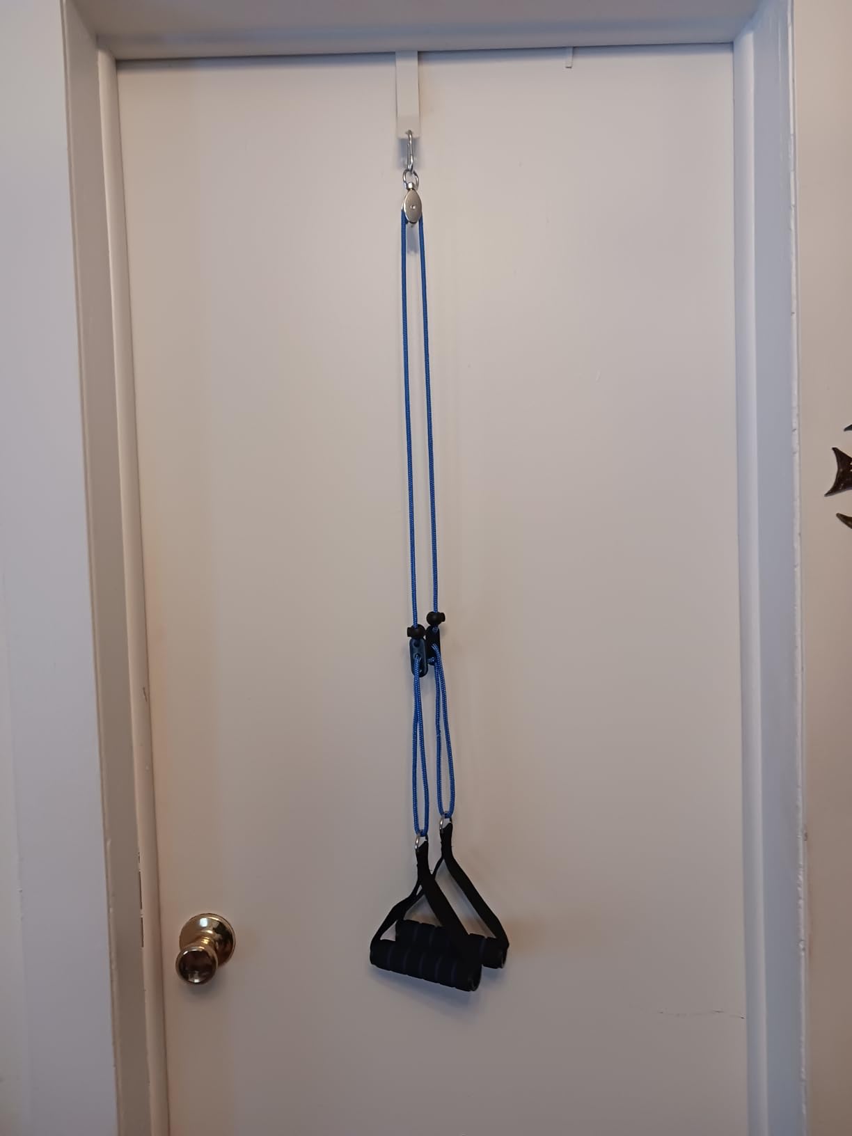 Shoulder Pulley for Physical Therapy, Pulleys for Shoulder Rehab Over Door, Shoulder Pulley Over The Door Physical Therapy, Door Pulleys For Physical Therapy, Arm Pulley, Over The Door Pulleys customer photo 2