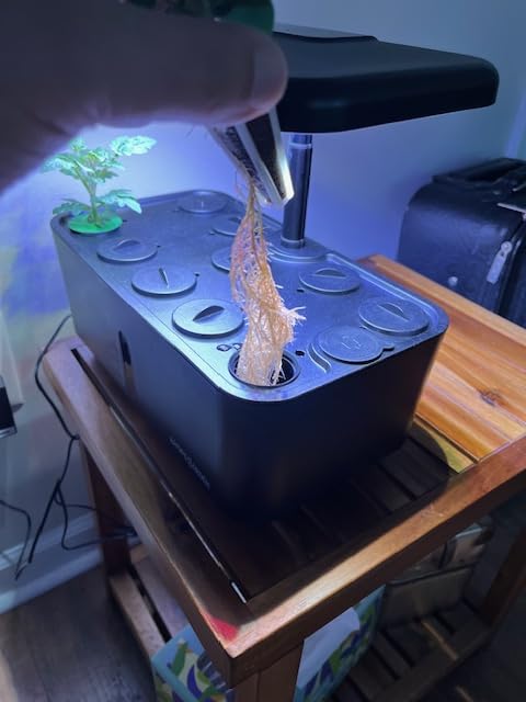Ahopegarden Indoor Garden Hydroponics Growing System: 10 Pods Kit with LED | Plant Germination Kit Herb Vegetable Growth Lamp Countertop, Hydroponic Planter Grower Harvest Lettuce for Healthy Home Cooks customer photo 1