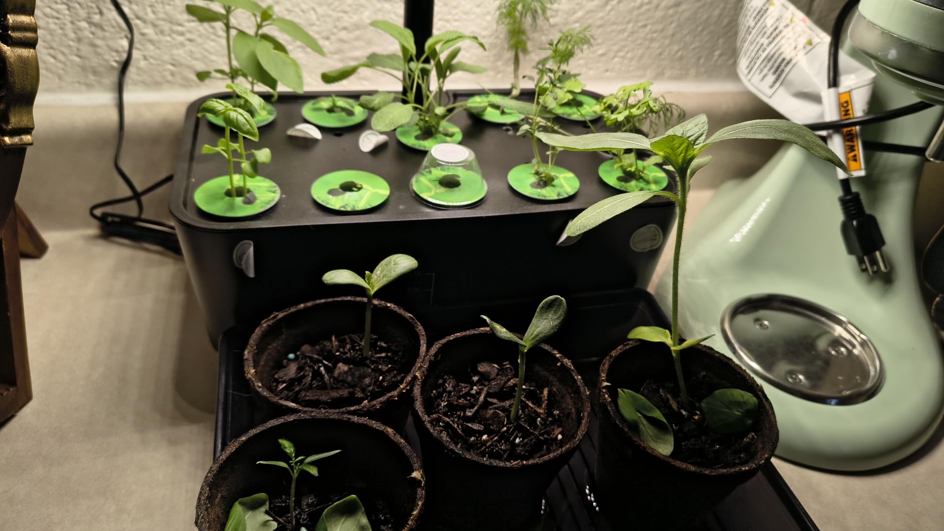 Ahopegarden Indoor Garden Hydroponics Growing System: 10 Pods Kit with LED | Plant Germination Kit Herb Vegetable Growth Lamp Countertop, Hydroponic Planter Grower Harvest Lettuce for Healthy Home Cooks customer photo 2