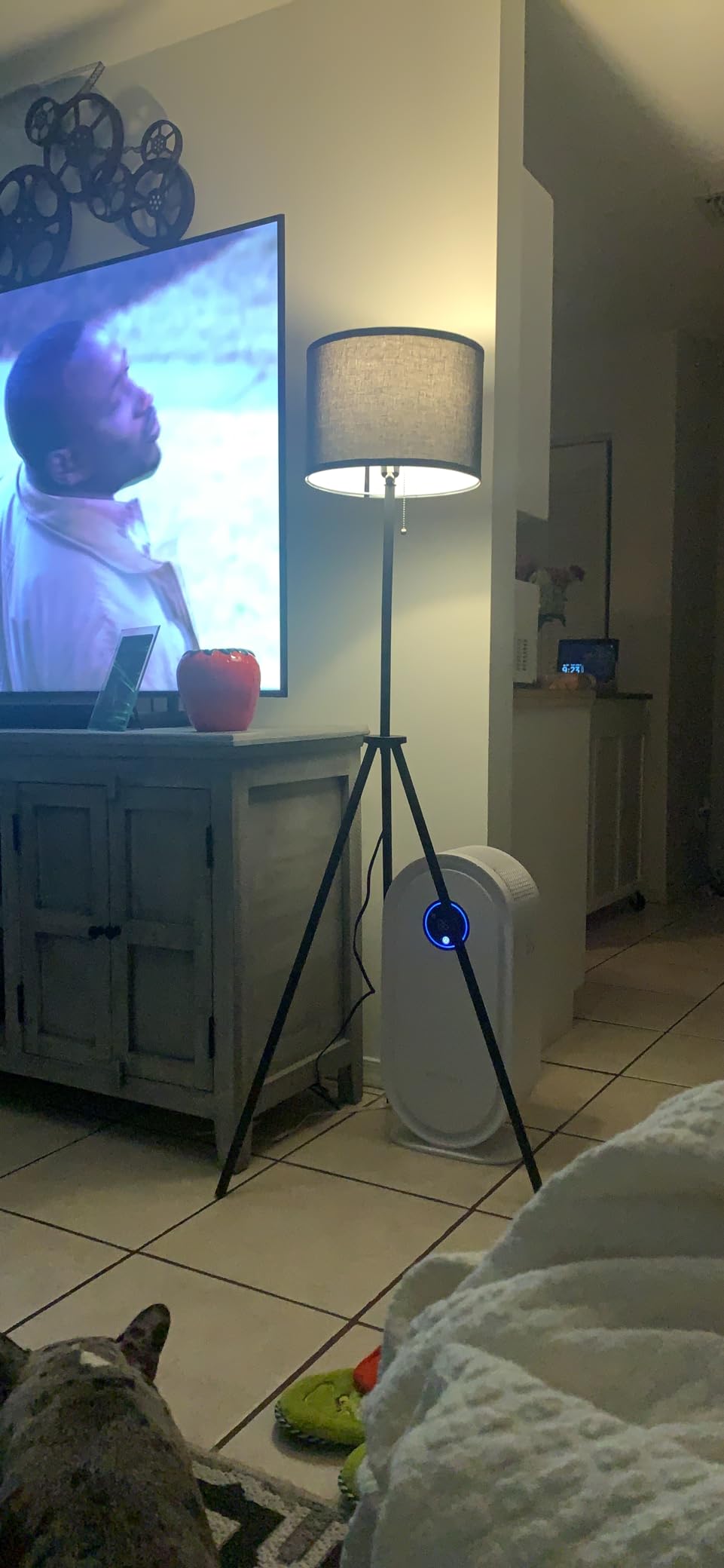 BoostArea Floor Lamp, Tripod Floor Lamp, 8W LED Bulb, Decorative Lamp Shade, Mid Century Standing Lamp for Living Room, Bedroom, Study Room and Office customer photo 2