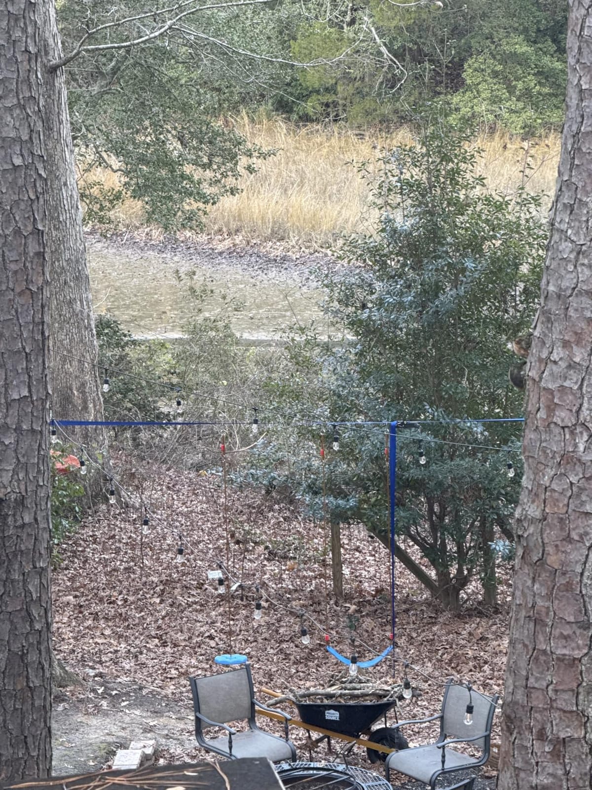 Ninja Warrior Obstacle Course for Kids - 2 * 56FT Slackline Kit with 8 Obstacles | Upgraded Quick-Install Buckles (No Threading Needed), 900lbs Max Load Backyard Training Gear customer photo 1