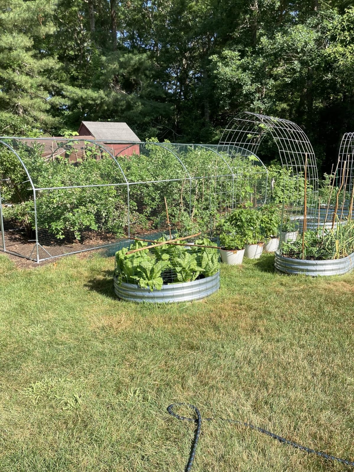 Large Metal Chicken Coop Round Top Upgrade Tri-Supporting Wire Mesh Chicken Run, Chicken Pen with Water-Resistant and Anti-UV Cover, Duck Rabbit House Outdoor (19'L x 9'W x 6.5'H) customer photo 1