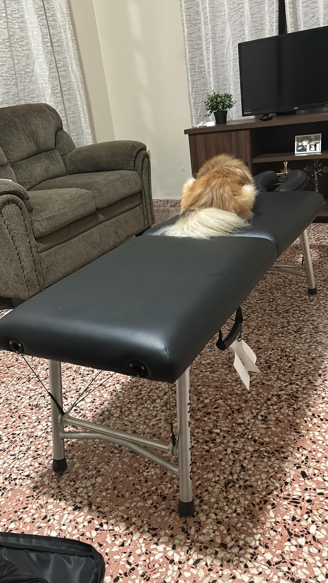 Plus Chiropractic Table | Professional Durability and Stability, Functional Design for Maximum Patient Comfort, Simple Setup for Sports and Physical Therapy customer photo 2