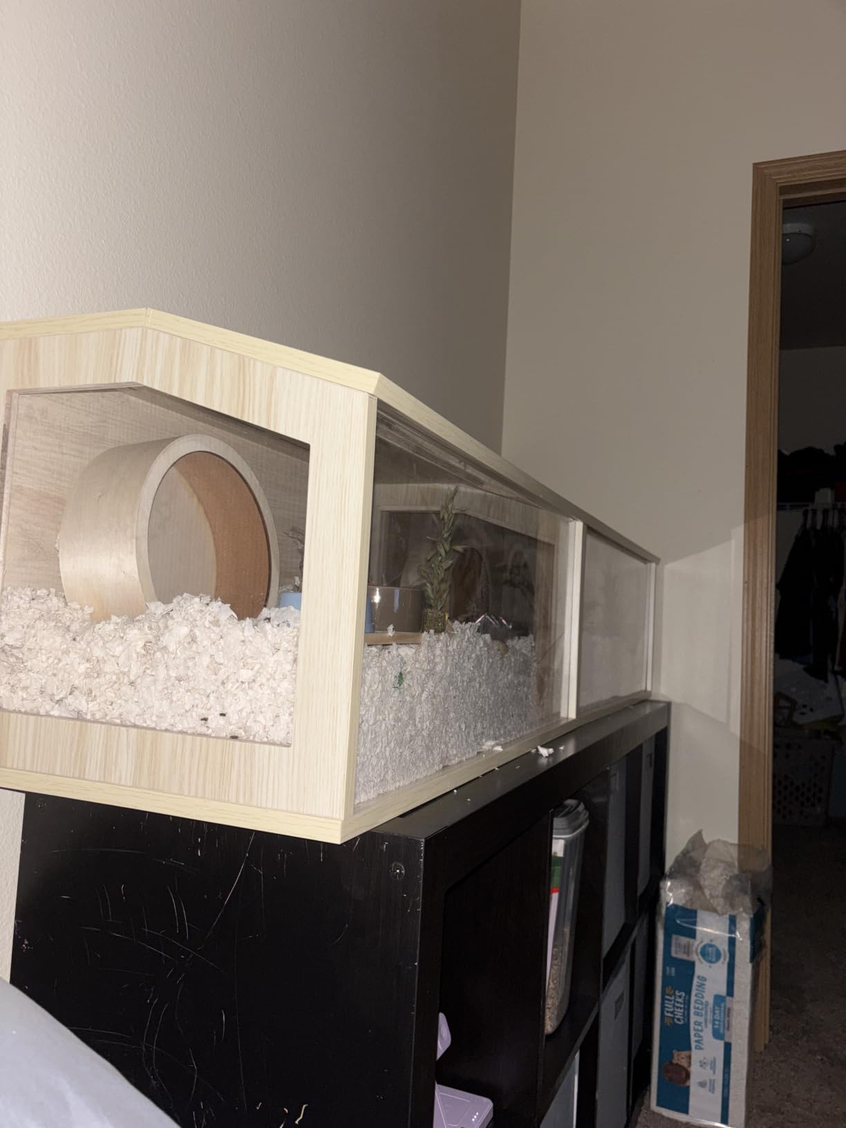 Prolee Hamster Cage Chewproof Wooden 24 Inch Guinea Pig Cages Mice and Rat Habitat Openable Top with Acrylic Sheets Solid Built customer photo 1