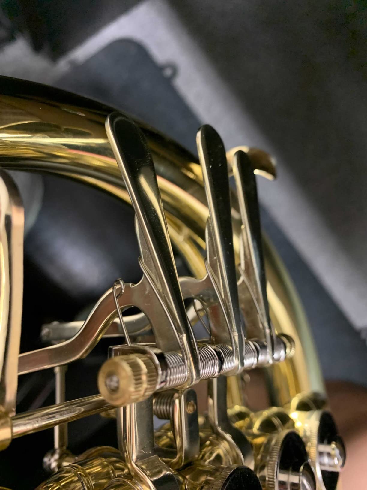 ROWELL Double French Horn, F/Bb 4 keys Intermediate French Horn, Gold Lacque F French Horn With Case, Mouthpiece Gloves and Polishing Cloth customer photo 1