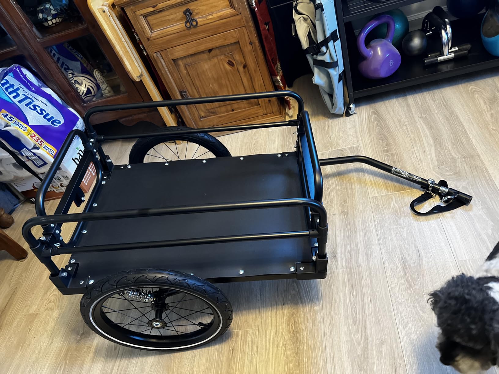 Aosom Bike Cargo Trailer Bike Wagon Bicycle Trailer with Suspension, Triple Safety Features, 16'' Wheels, 88 lbs Max Load customer photo 1