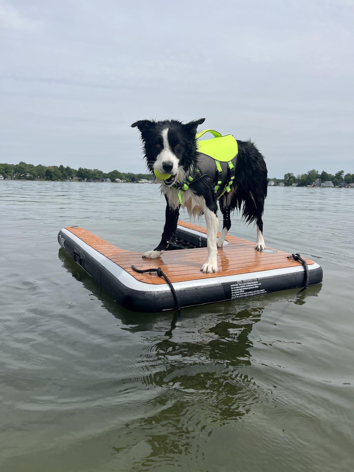 DOK Dog-DOK Inflatable Dock Platform: Safe & Easy Water Access for Dogs Up to 250 lbs; Floating Non-Slip EVA Foam with Dog Boat Ramp for Pool, Dock, & Lake customer photo 2