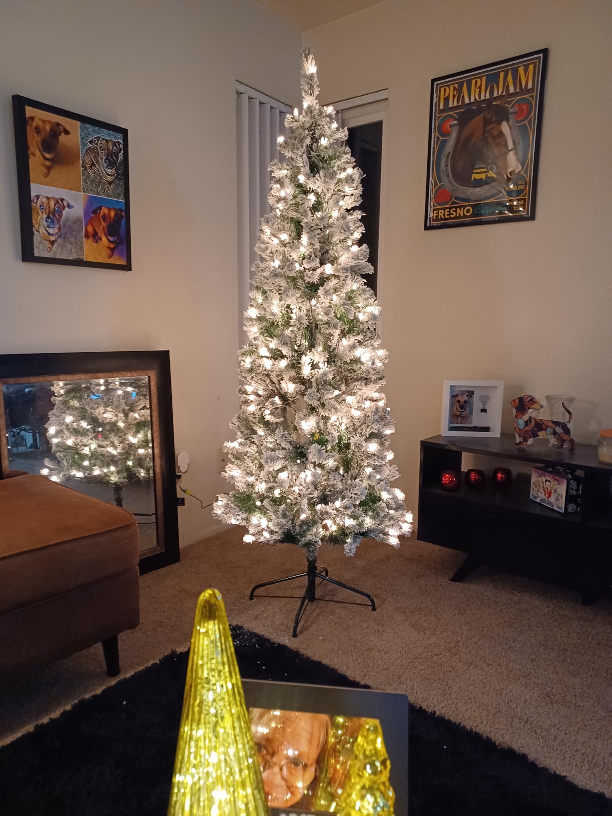 National Tree Company 6 ft Pre-Lit Flocked Acacia Slim Artificial Christmas Tree, 250 Clear Lights, 512 Tips, Includes Stand, Green customer photo 2