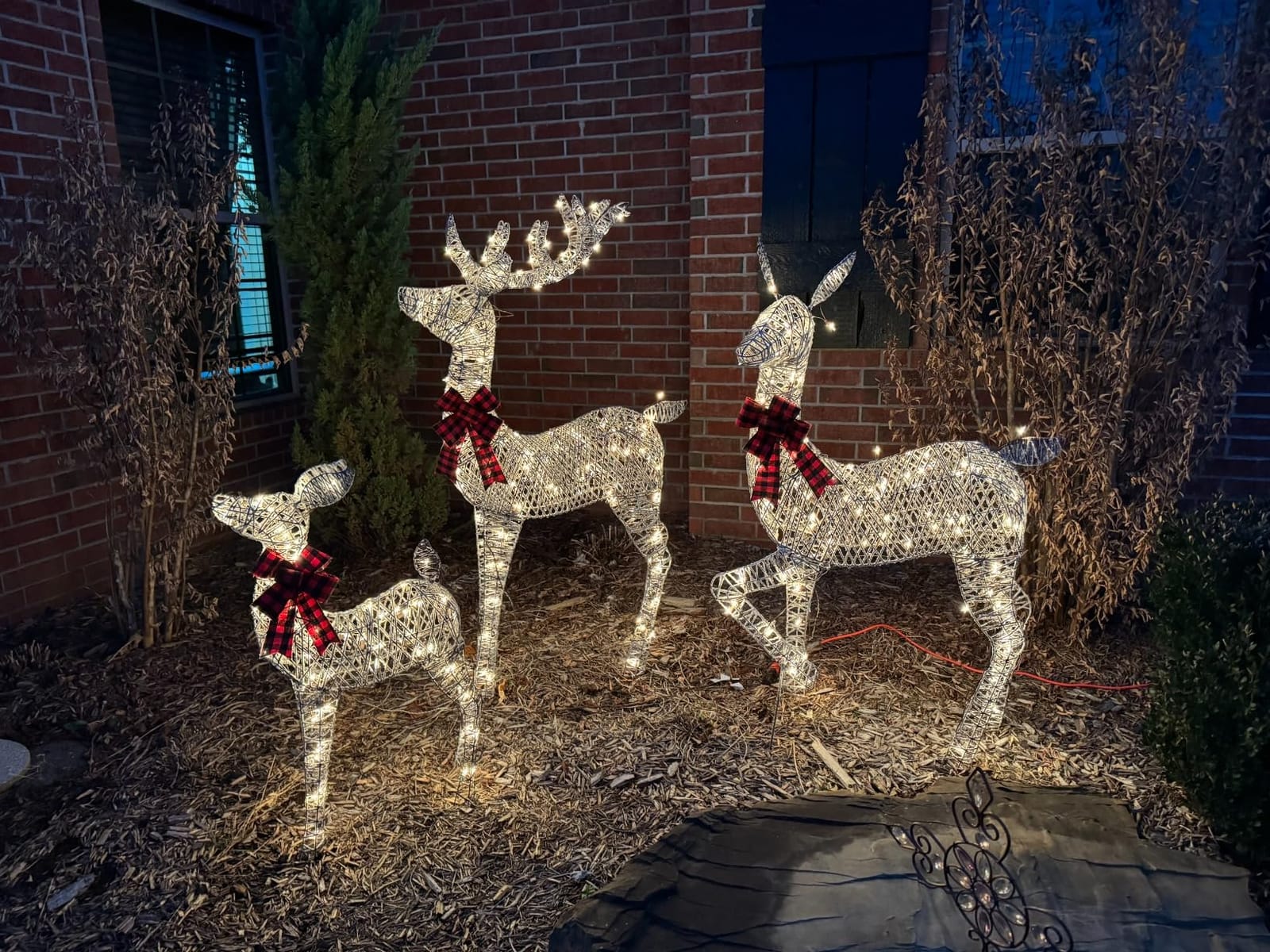 Best Choice Products 3-Piece Large Lighted Christmas Deer Family Set 5Ft Outdoor Yard Decoration with 360 LED Lights, Stakes, Zip Ties - Rattan customer photo 1