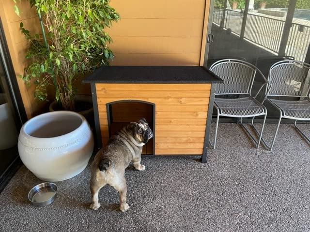 Aivituvin Insulated Dog House Outdoor & Indoor Wooden Dog Kennel for Winter with Raised Feet Weatherproof for Small & Medium & Large Dogs, Unique All-Around Iron Frame customer photo 1