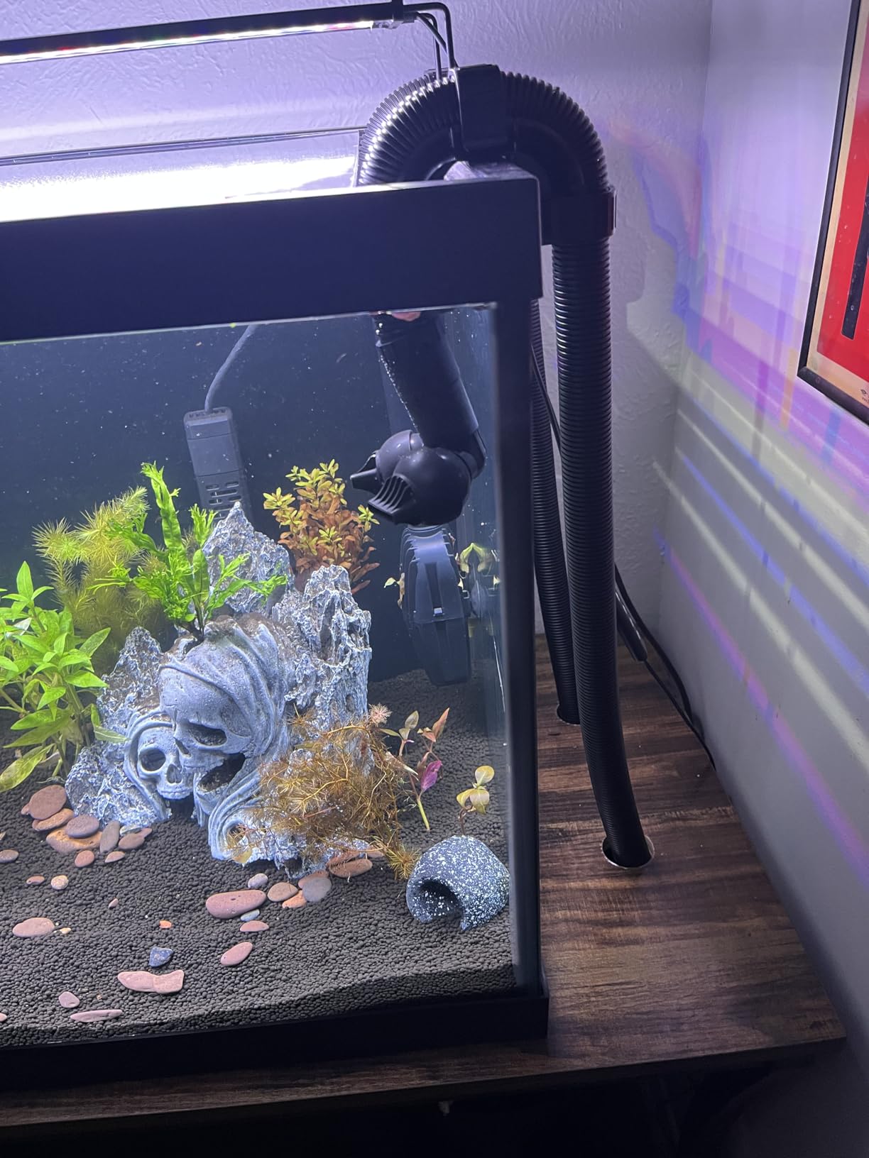 Fluval FX2 High Performance Canister Aquarium Filter - Multi-Stage Filtration, Built-in Powered Water Change System, and Basket-in-Basket Tray Design customer photo 2