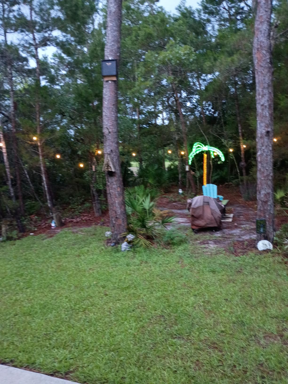 addlon LED Outdoor String Lights 72FT(36*2) Edison Vintage Weatherproof ETL | Commercial Grade Strand with Shatterproof Bulbs, Decorative Hanging Lights for Patio Backyard Garden Cafe Bistro Deck customer photo 1