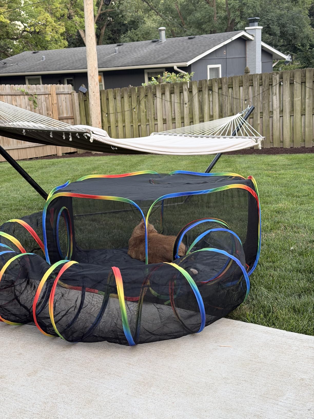 Portable Cat Enclosure - 2-in-1 Outdoor Catio with Tent & Tunnel, Foldable Playpen for Indoor Cats, Includes Storage Bag for Cats & Small Animals Rainbow Color customer photo 2