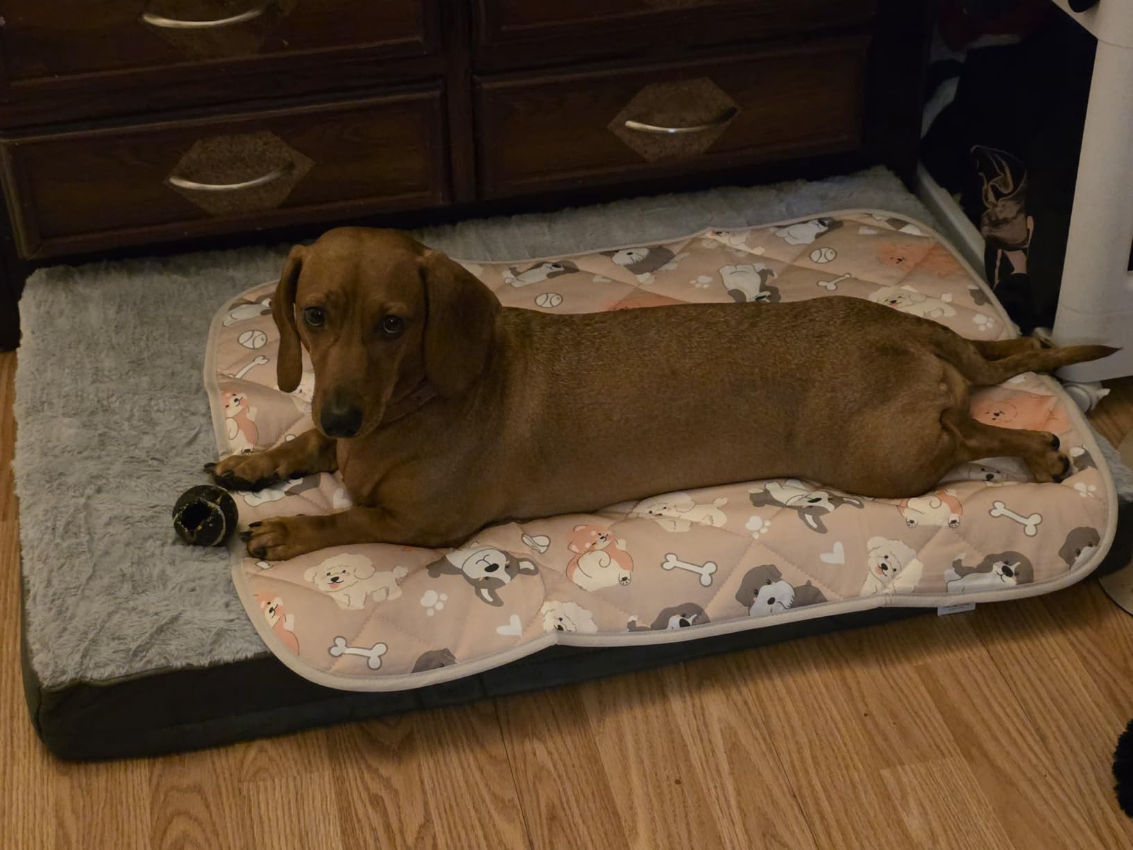 Sunheir Washable Orthopedic Large Dog Bed with Removable Cover, Pet Bed Mat | Big Waterproof Dog Crate Bed, Egg Crate Foam Support, Anti-Slip Bottom, Easy-Clean, Soft Plush Dog Beds Large Sized Dog, Grey customer photo 1