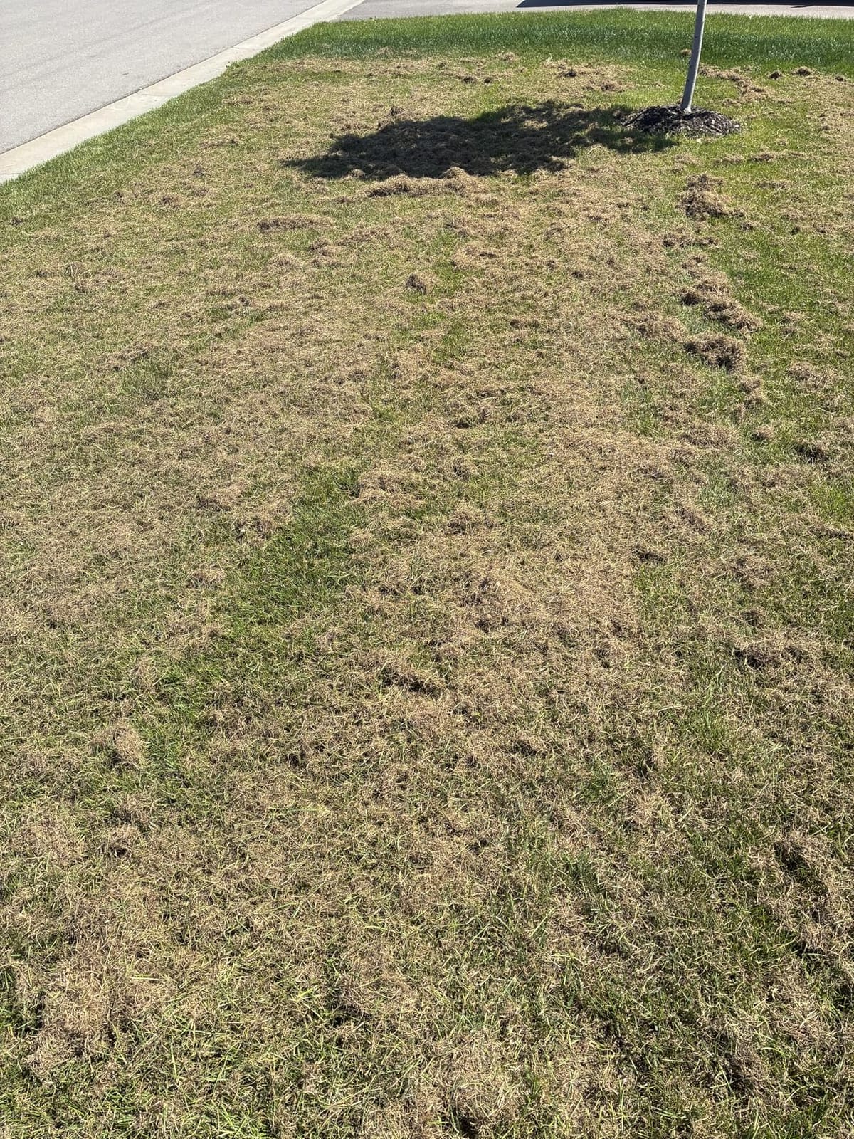 LawnMaster GVB1316 Electric 16