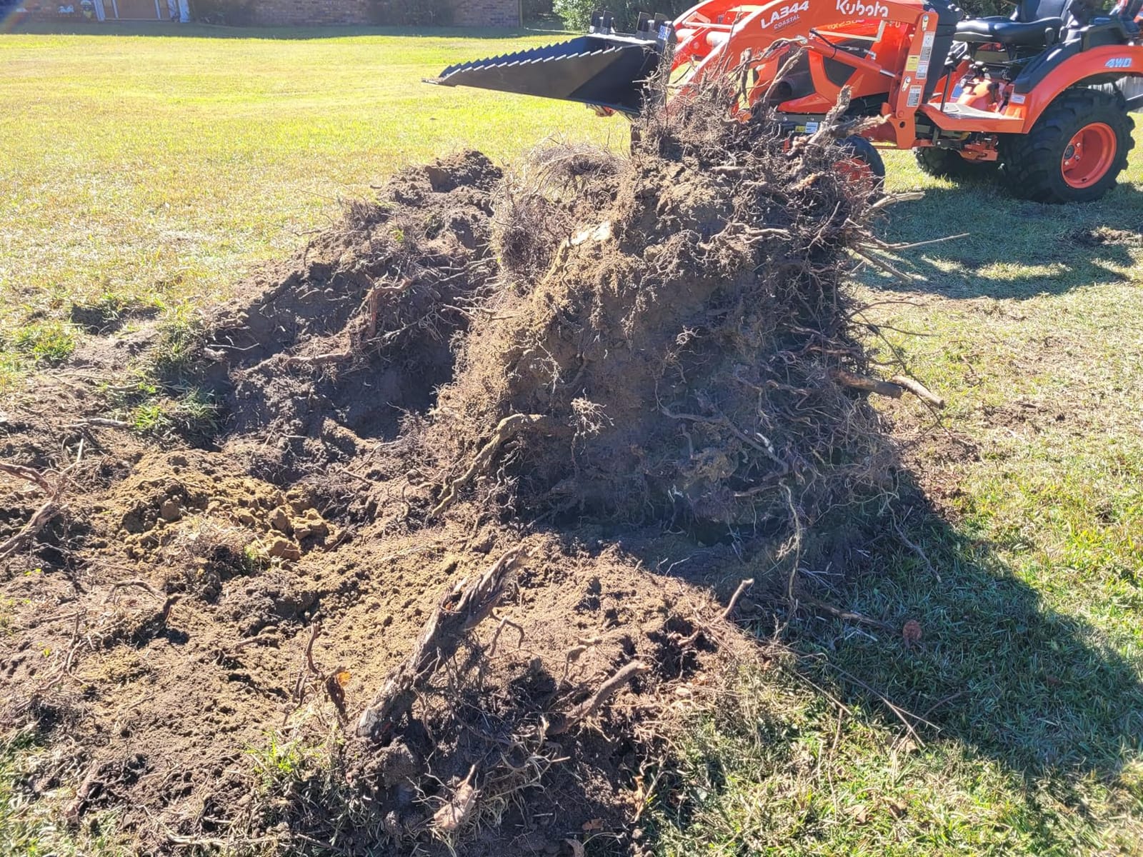 Titan Attachments Economy Series Stump Bucket Attachment, Universal Skid Steer Quick Tach, Serrated Leading Edge, Tree Scoop Digger for Removing Smaller Tree Stumps and Light Duty Ripping Roots customer photo 2
