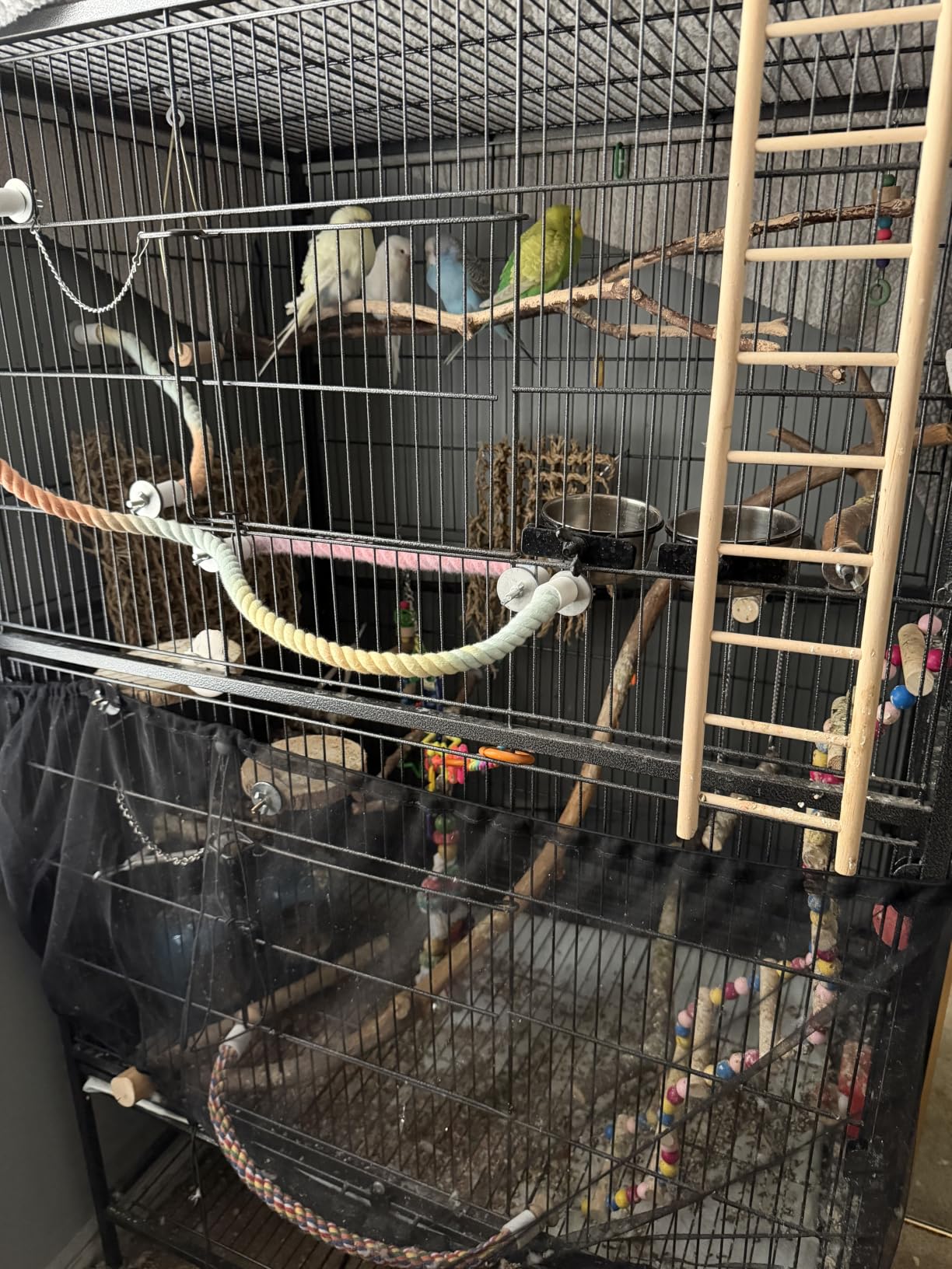 Yaheetech 60.5inch Extra Large Bird Cage Metal Parrot Cage Flight Cage for Cockatiels African Grey Quaker Green Cheek Sun Conure Medium Birds Parrots customer photo 2