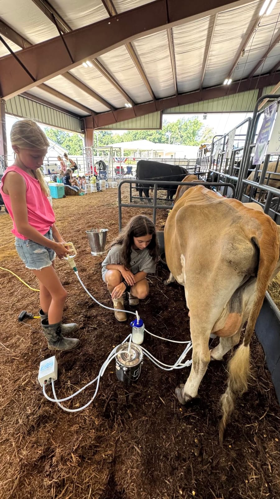 2026 Upgrade 3L Cow Milking Machine, Continuously Adjustable Suction Pulsation Vacuum Electric Milker, Portable Livestock Milking Machine with Stainless Bucket (US Plug) (3L Cow) customer photo 1