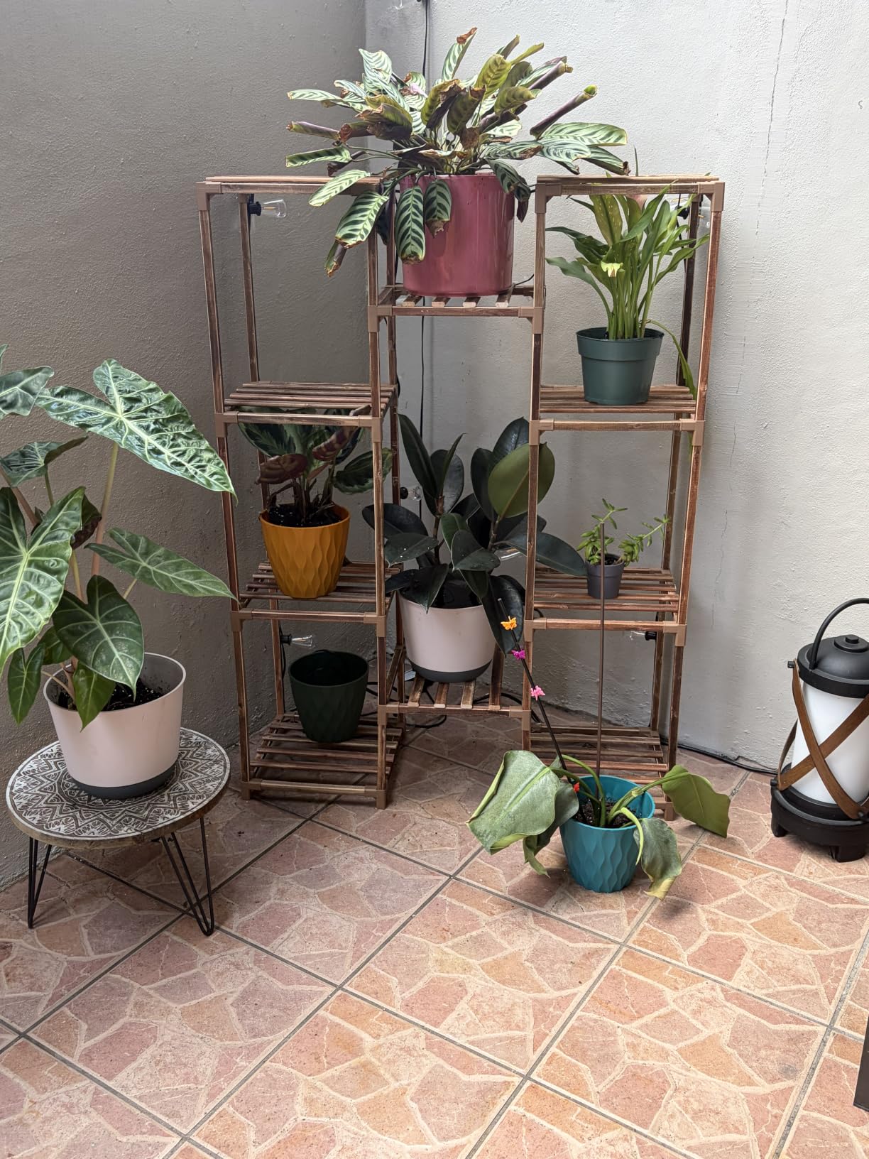 Bamworld Plant Stand Indoor Outdoor Tall Plant Shelf for Multiple Plants Pots Wood Flower Stand customer photo 2