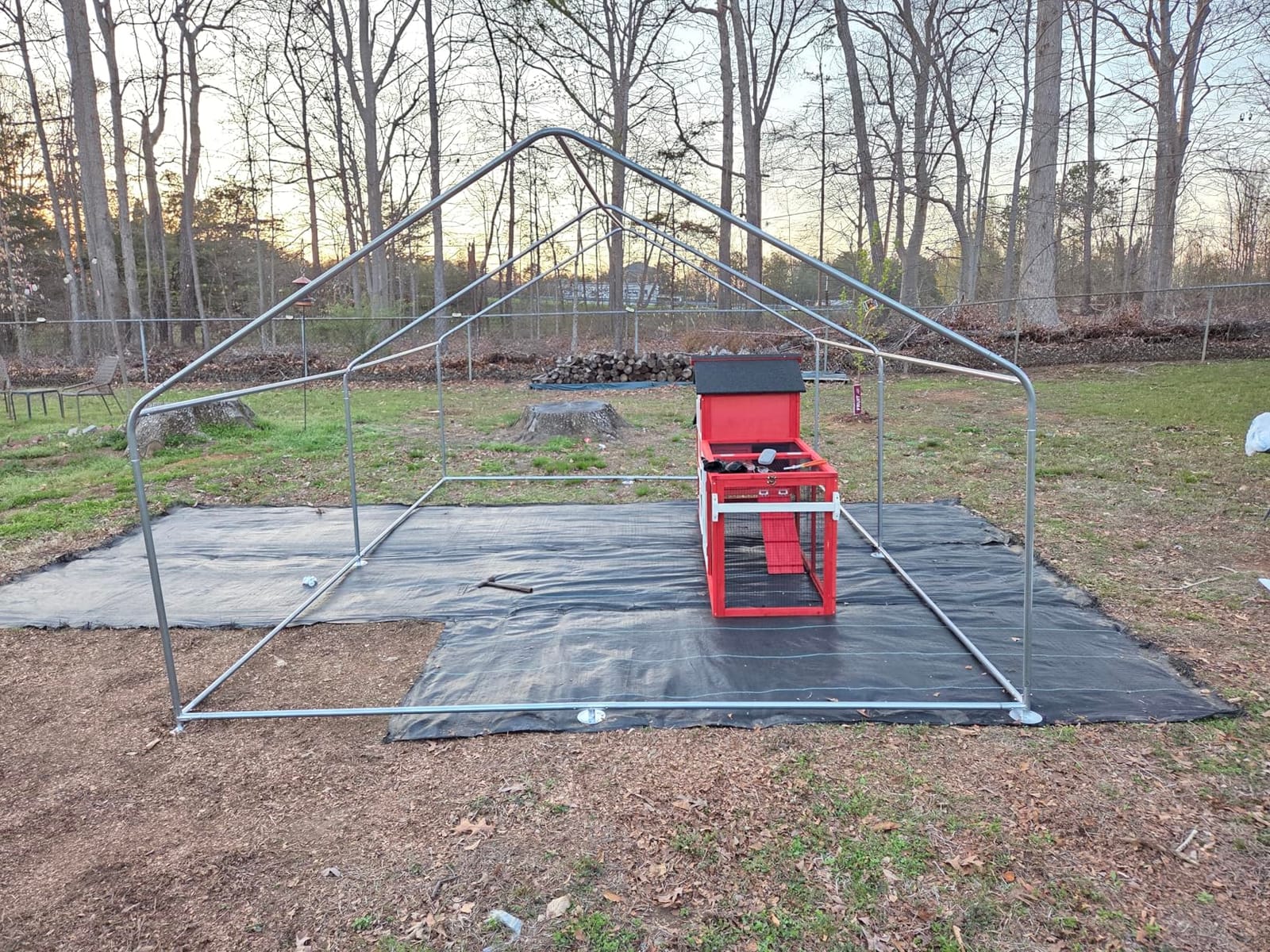 CHIKENCOOP 9.8 x 6.5 x 6.5 ft Metal Chicken Coop, Chicken Run with Cover | Walk-in outdoor enclosure with waterproof UV-resistant cover, reinforced frame, and 47 x 40 in eucalyptus perch customer photo 2