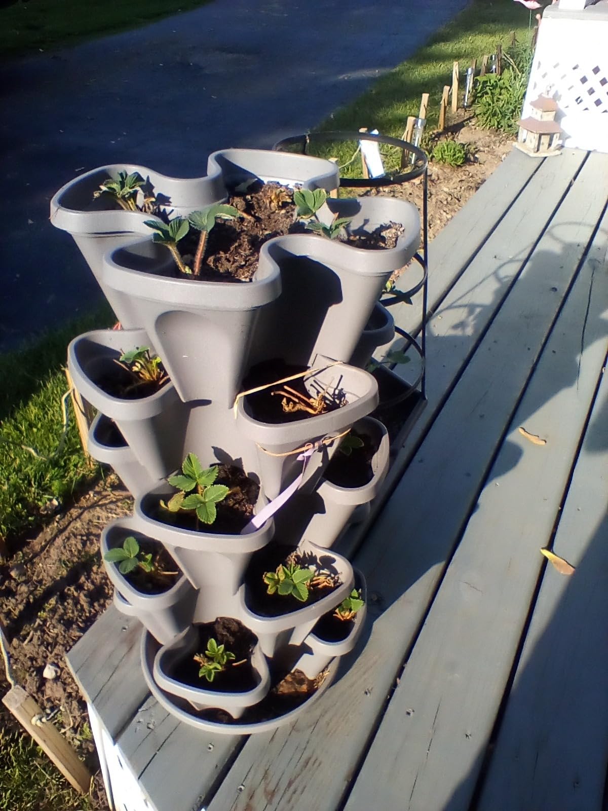 5-Tier Stackable Strawberry Garden - 24 Quart Indoor / Outdoor Stacking Planter with Drip Saucer - Grow Herbs, Strawberries, and Flowers from The Kitchen or Backyard - Plant and Stack! Easy Gardening customer photo 1