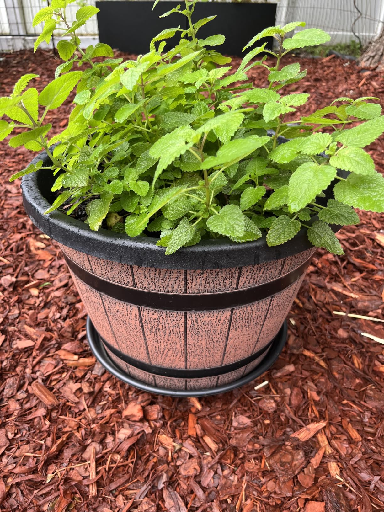 Quarut Large Plastic 3 Pack 16 inch Plant Pots, Whiskey Barrel Planters with Drainage Holes & Saucer customer photo 2