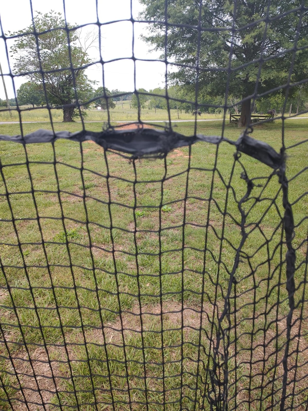 GoSports 7 ft x 7 ft Baseball & Softball Nets - Red, Black, Drip or PRO - Practice Hitting & Pitching Net with Bow Type Frame, Carry Bag and Strike Zone customer photo 2
