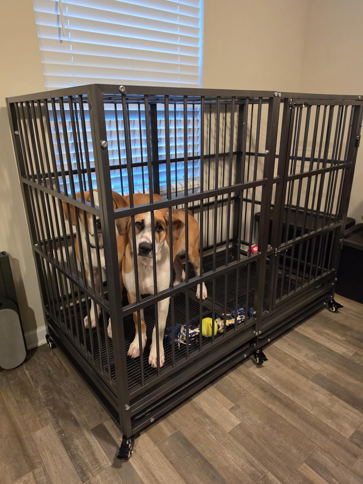BOLDBONE 48 inch Heavy Duty Indestructible and Escape-Proof Dog Crate Cage Kennel for Large Dogs, High Anxiety Dog Crate with Removable Wire Trays and Wheels, Extra Large XL XXL, Black customer photo 2