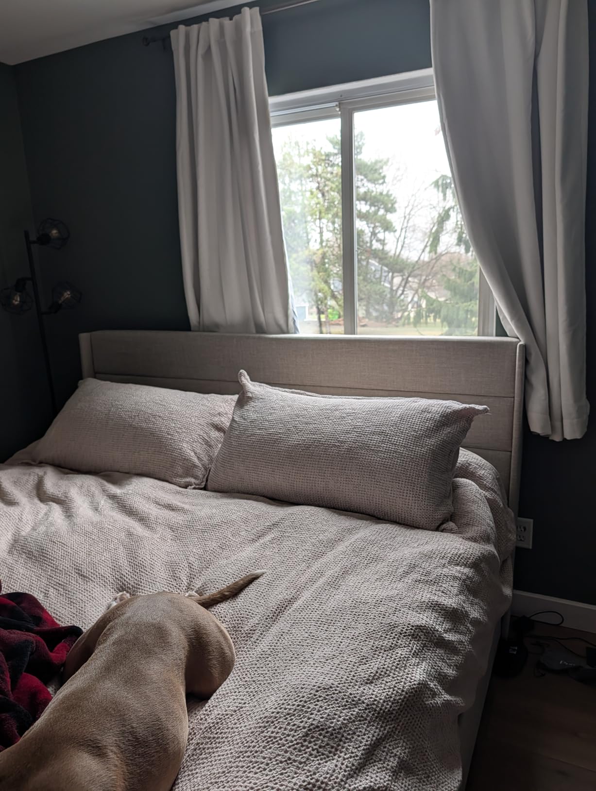 SHA CERLIN Full Size Lift Up Hydraulic Storage Bed Frame Light Grey | Modern Wingback Headboard, Upholstered Platform Bed Frame, Hydraulic Underneath Storage, No Box Spring Needed customer photo 2
