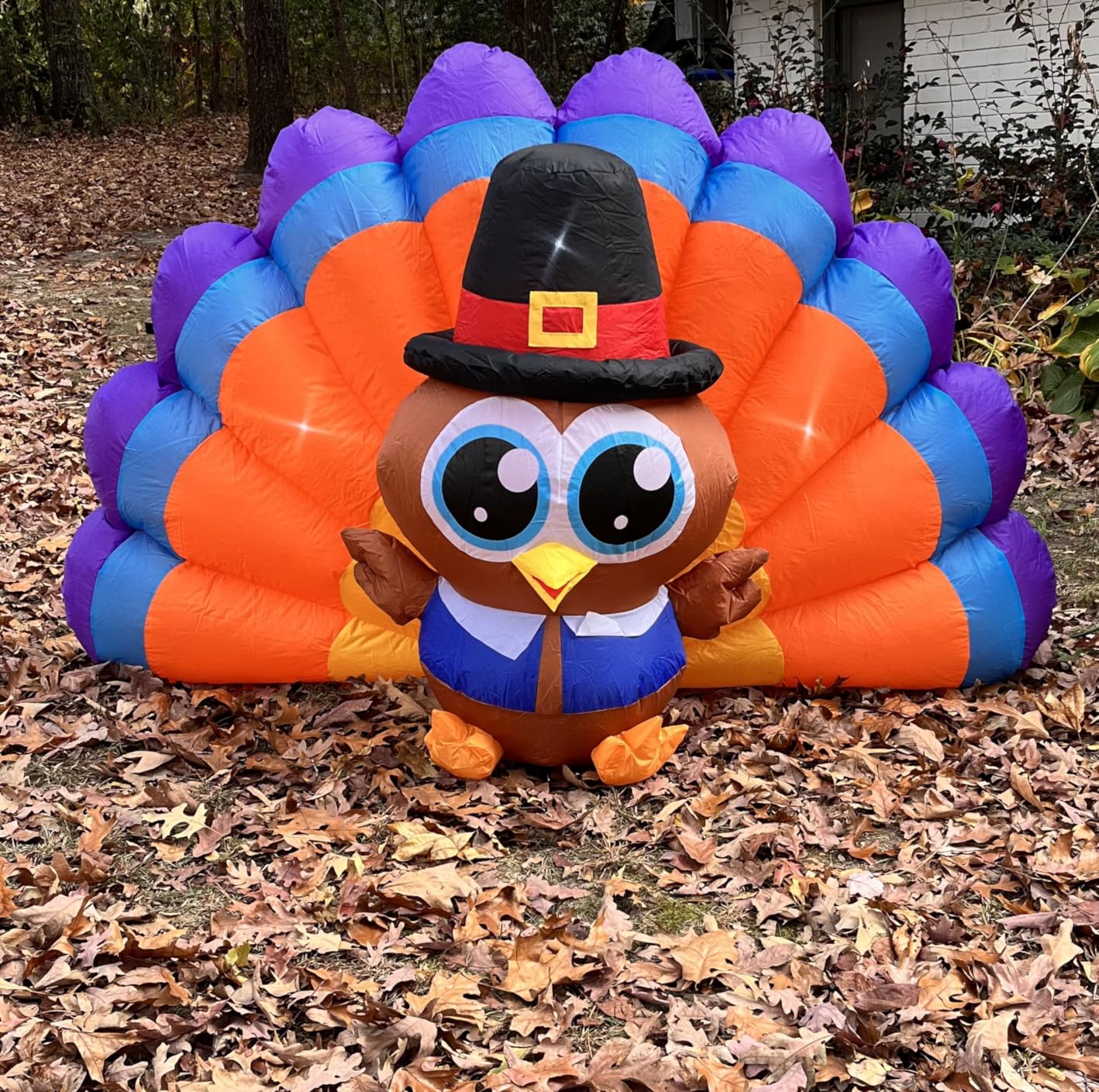 6FT Thanksgiving Inflatables Outdoor Decoration Inflatable Turkey, Built in LED Lights Blow Up Yard Decorations for Fall Holiday Party Garden Lawn Decor customer photo 2