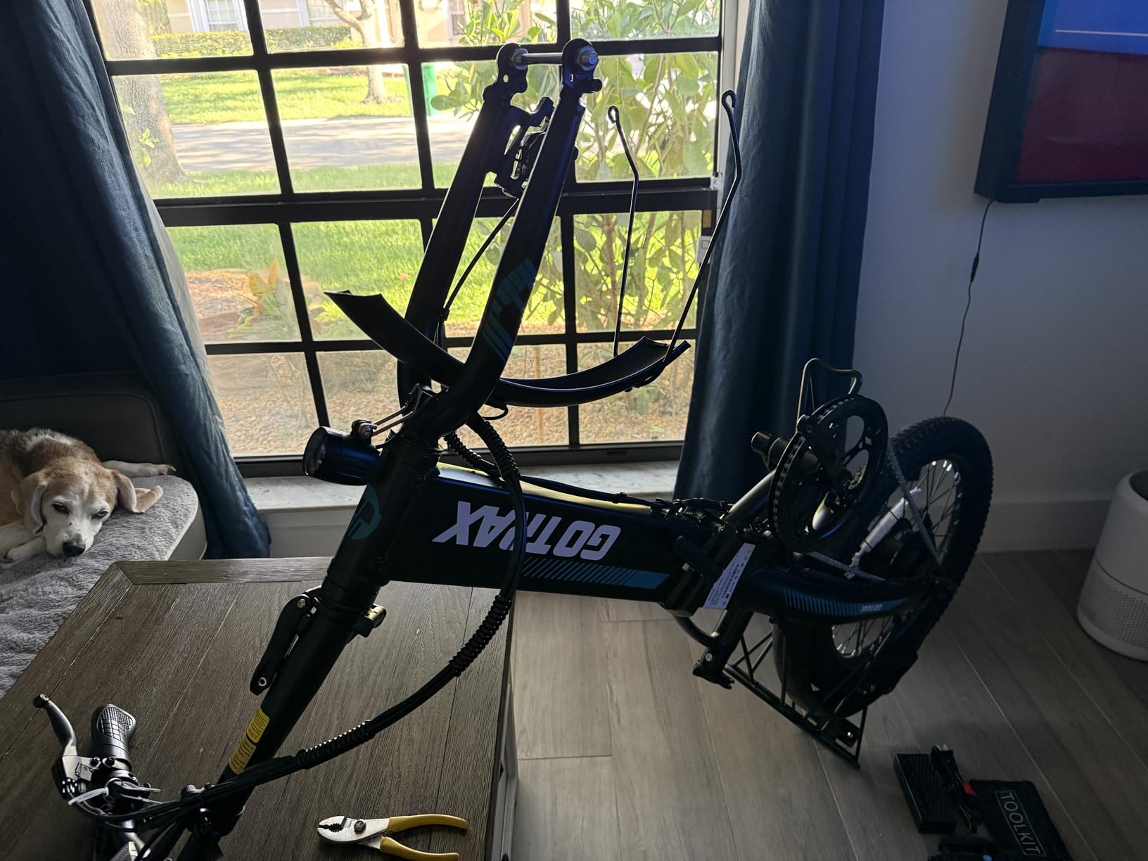 Gotrax R1 20