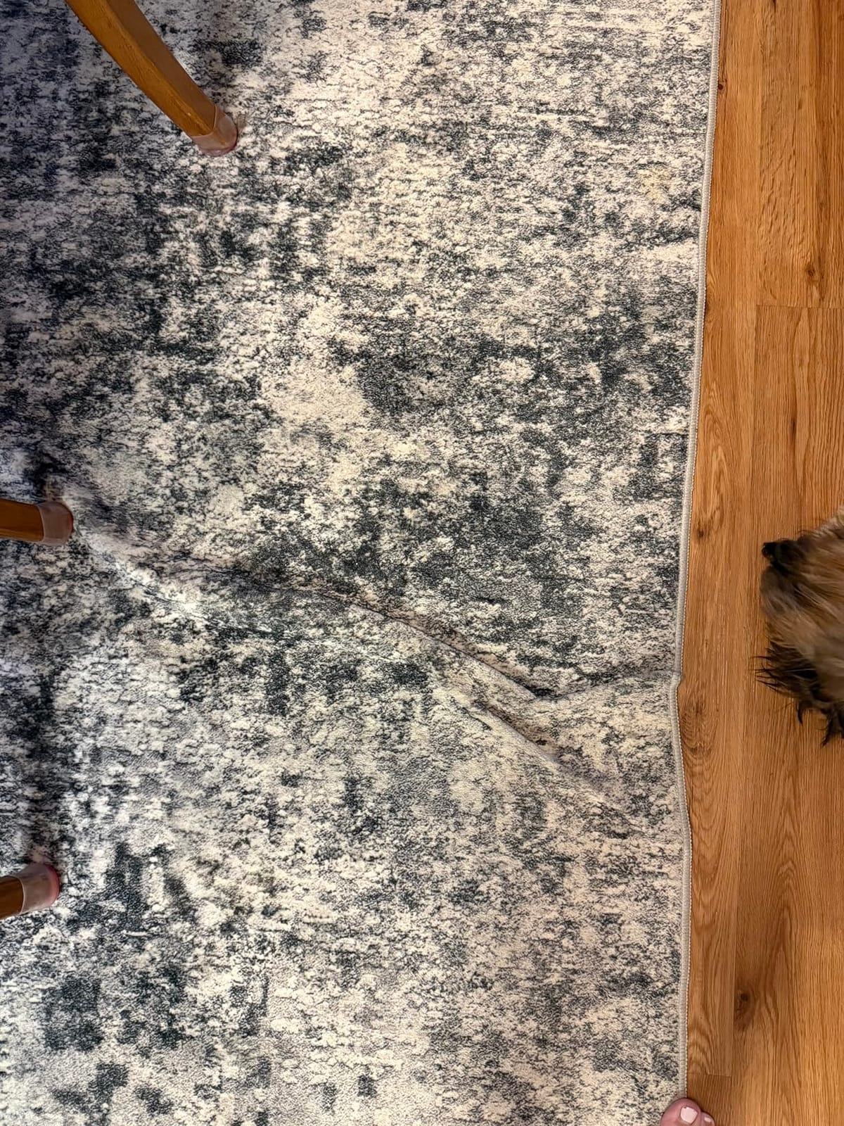 DMOYEST Area Rug Living Room Rugs 9x12 Washable Abstract Grey Carpet | Neutral Modern Large Non-Slip Soft Low Pile Rugs for Bedroom Dining Room Home Office Indoor Decor customer photo 1
