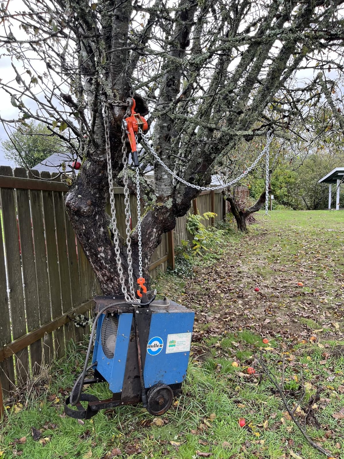 VEVOR Manual Lever Chain Hoist, 3/4 Ton 1650 lbs Capacity 10 FT Come Along, G80 Galvanized Carbon Steel with Weston Double-Pawl Brake, Auto Chain Leading & 360° Rotation Hook, for Garage Factory Dock customer photo 1