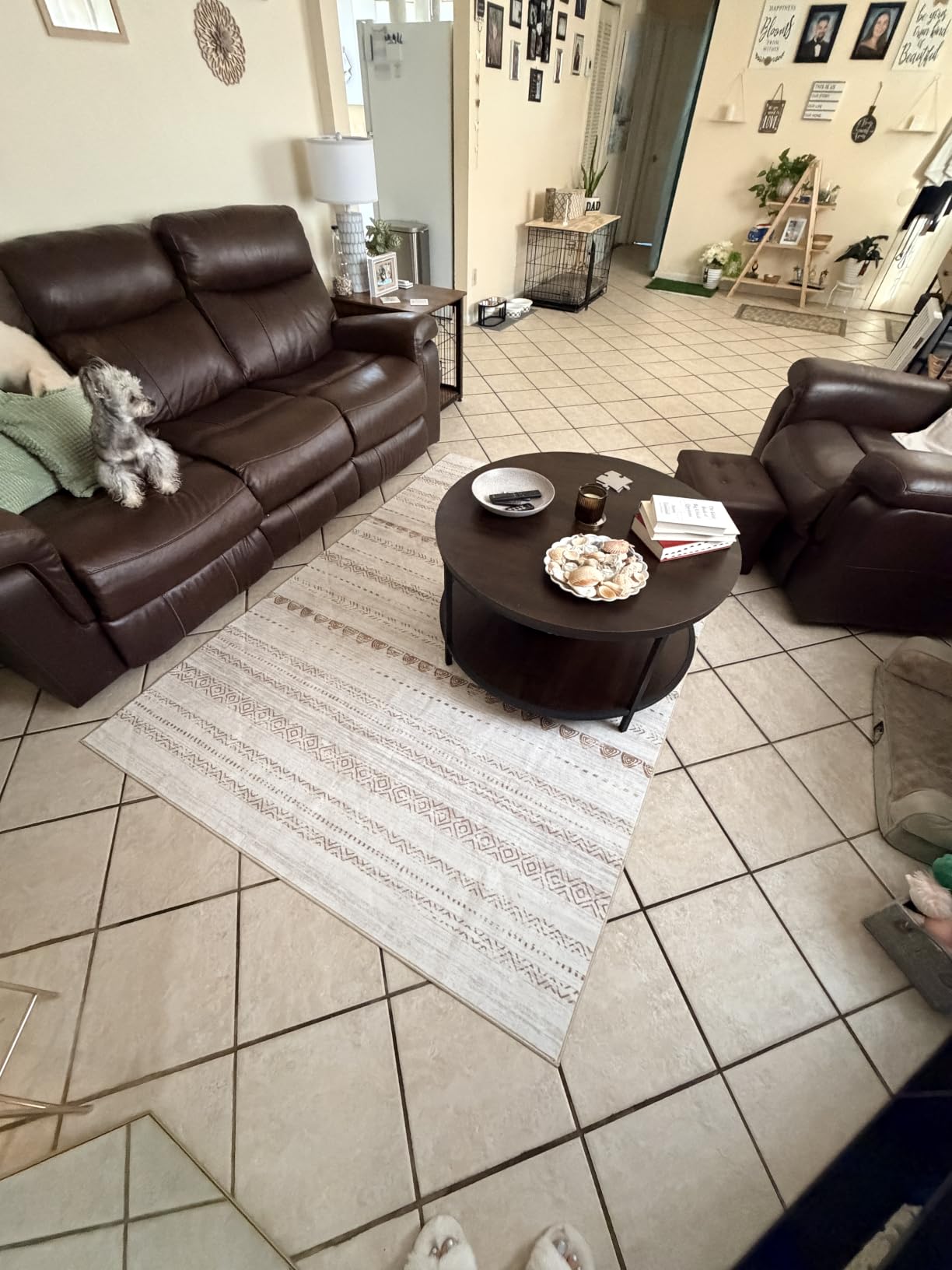 Nakagishi Boho 5x7 Area Rug Living Room Rugs Machine Washable Beige/Brown | Soft, Pet & Kid Friendly, Carpet for Living Room/Bedroom/Office/Kitchen/Nursery, Daily Home Decor Stain Resistant Moroccan customer photo 1