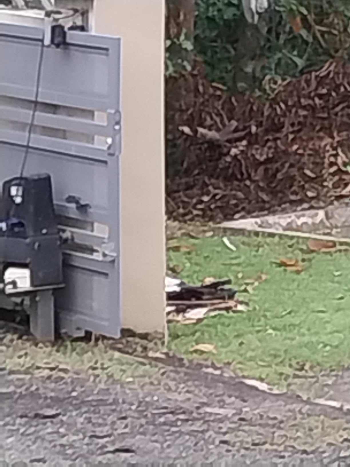TOPENS CK2500 Automatic Sliding Gate Opener Chain Drive Electric Gate Motor for Heavy Driveway Slide Gate Up to 5700 Pounds Security Gate Operator AC Powered with 20ft Roller Chain and Remote Control customer photo 2