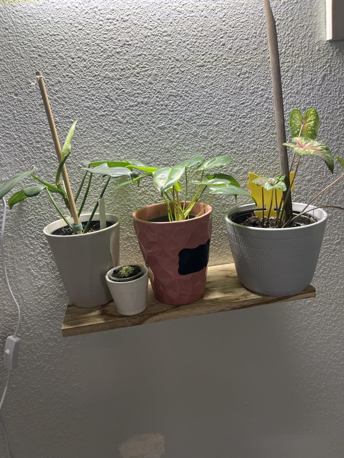 WOPITUES Wood Floating Shelves Set of 6, Shelves for Wall Decor, Farmhouse Shelf for Bedroom, Bathroom Storage Shelves, Book Shelves for Living Room - Rustic Brown customer photo 2