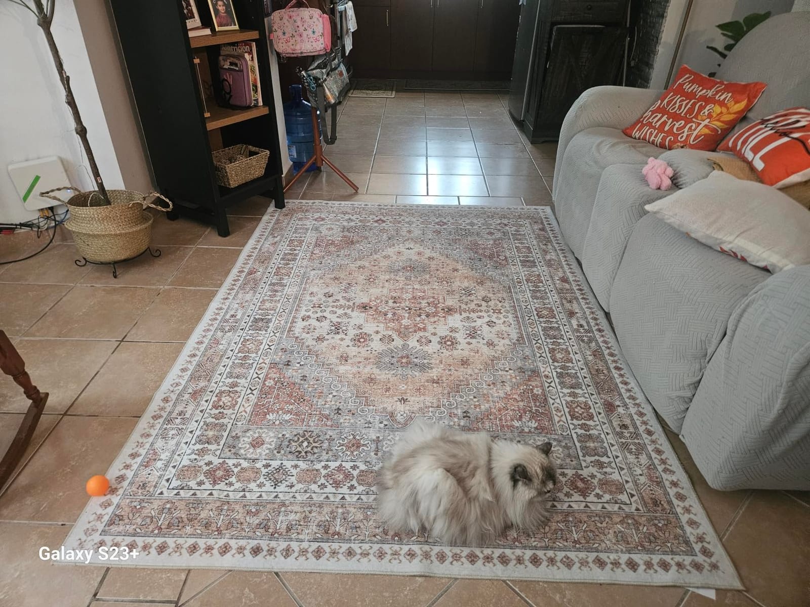 zesthome 8x10 Area Rugs for Living Room,Large Washable Rug,Orange | Rugs for Bedroom,Dining Room,Office,Low Pile,Soft, Vintage Rug,Stain Resistant Indoor Carpet,Non Slip,Home Decor customer photo 2