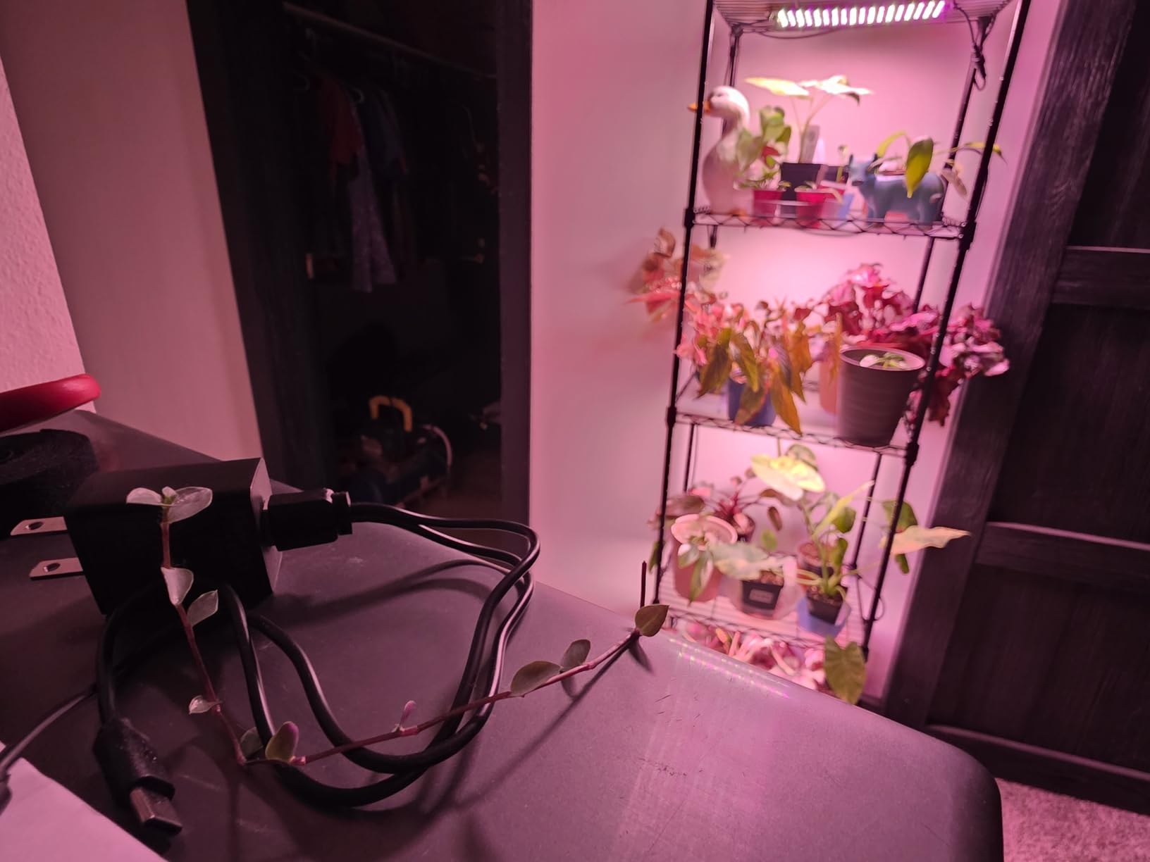 Barrina CX83 Plant Stand with Grow Lights, 6-Tier Shelf, 15.7x11.8x70.9IN | Full Spectrum, 50W Ultra-Thin Grow Light Panels, 3/6/12h Auto Timer, Ladder Flower Pot Stand Display Rack for Indoor Plants customer photo 2