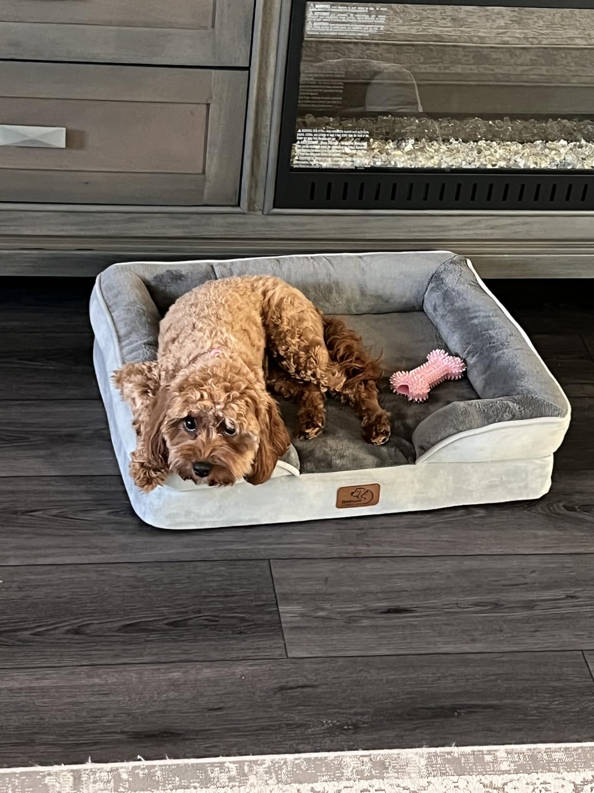 Bedsure Orthopedic XL Dog Bed Extra Large with Removable Washable Cover | 42
