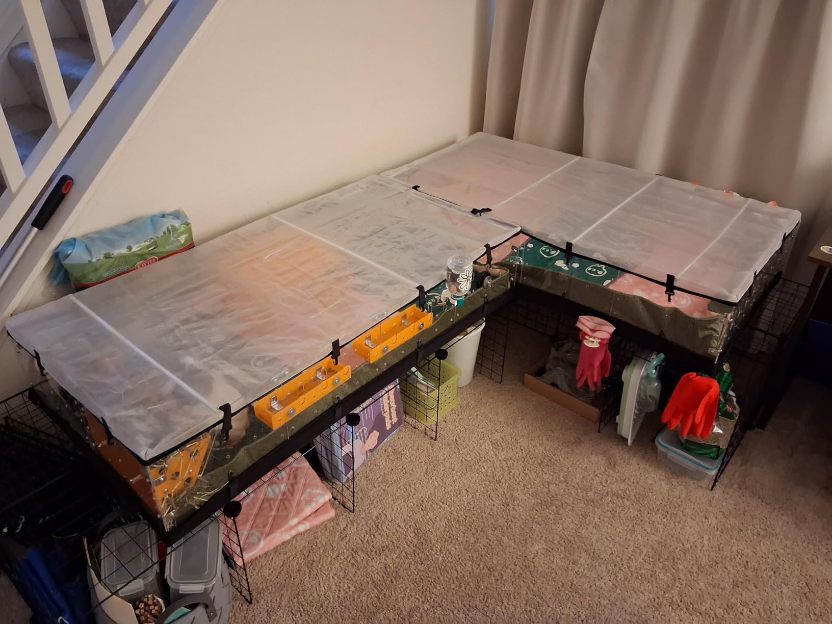 GuineaLoft Model-A Acrylic Guinea Pig Cage - Large 4x2ft Expandable C&C Cage, Works Also for Small Roaming Animals Like Rabbits, Button Quails, Hedgehogs customer photo 1